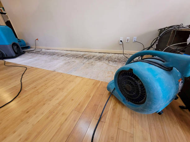 Professional Emergency Water Damage technician working in Captiva, FL